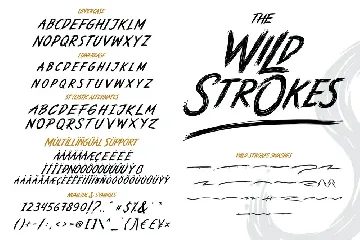 The Wild Strokes font