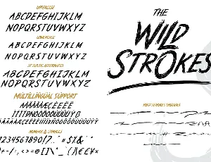 The Wild Strokes font