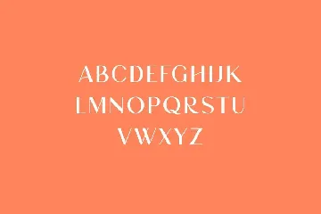 Brightwood Classic Serif Font