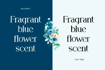 Mangolaine Elegant Serif Font