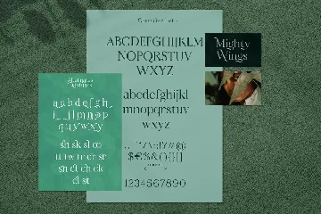 Mighty Wings - Elegant Classy Display Serif font