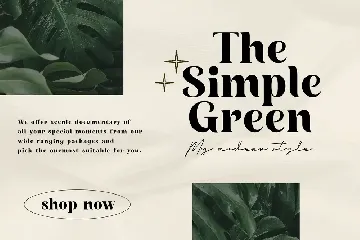 Birds and Home - Beauty Fancy Bold Serif font