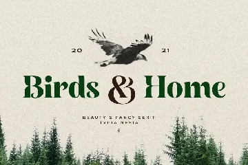 Birds and Home - Beauty Fancy Bold Serif font