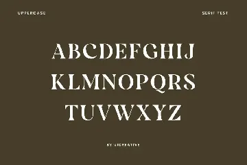 Borniarte Elegant Serif Font