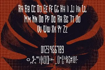 Soidecot Font