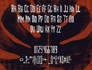 Soidecot Font