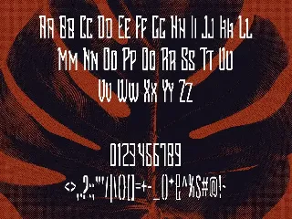 Soidecot Font