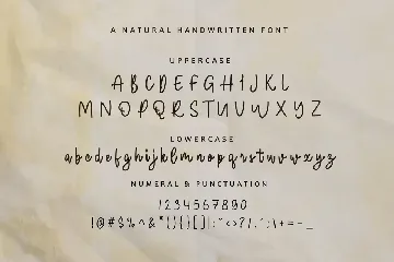 Garden Mosaic - beauty Handwritten font