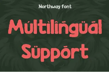 Northway font