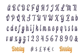 Boosley - Display Script font