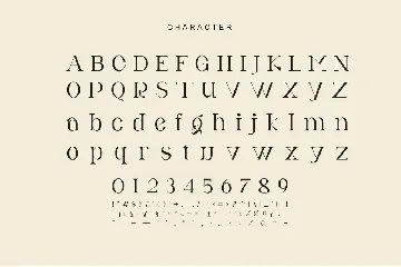 Unokn Unique Serif Typeface font