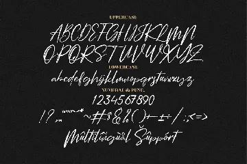 Amsterdam Signature Font