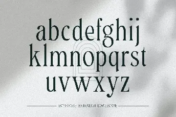 Roystorie - Elegant Classic Extra Light Serif font