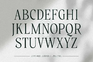 Roystorie - Elegant Classic Extra Light Serif font