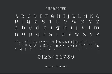 Neuva Modern Ligature Serif Typeface font