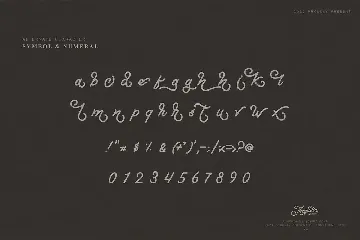 Thequilla - Monoline Script Font VW