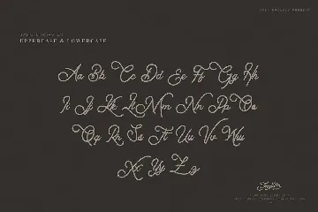 Thequilla - Monoline Script Font VW