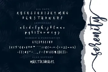 Serenity font