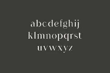 Agathias Stenchy Modern Serif Font