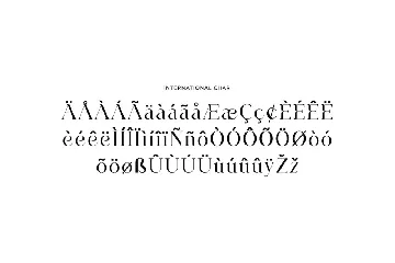 Agathias Stenchy Modern Serif Font