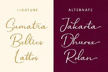 Altarimoon Natural Calligraphy Script Font