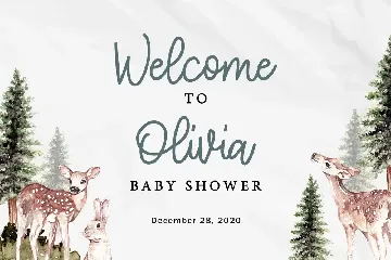 Fairy Baby - Signature Handwritten Font