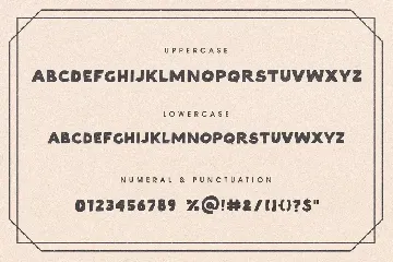 Lerida - The Vintage Sans Font