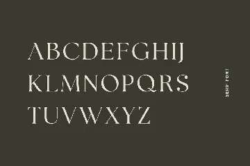 Polluxie Feminine Serif Font