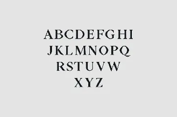 Aara Serif Font Family