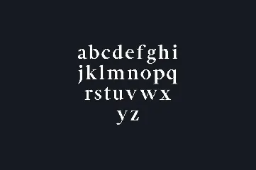 Aara Serif Font Family