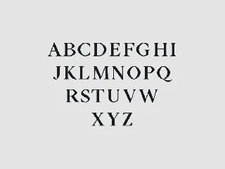 Aara Serif Font Family