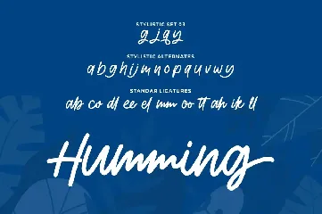 Humming | Monoscript Font