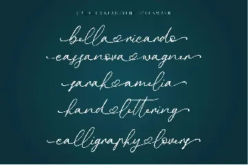 Donatellia | Calligraphy Font