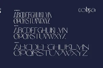 Cobya - Modern Variable Font