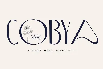 Cobya - Modern Variable Font