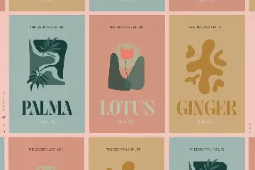 Losta Frida - Decorative Serif family font