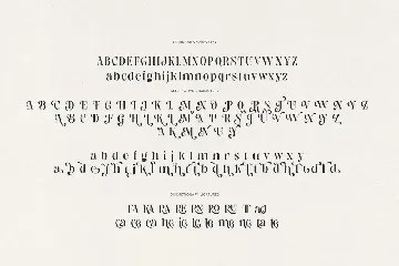 Losta Frida - Decorative Serif family font