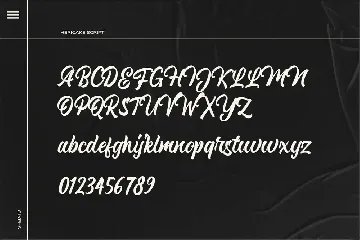 Hericake Logo Type Font