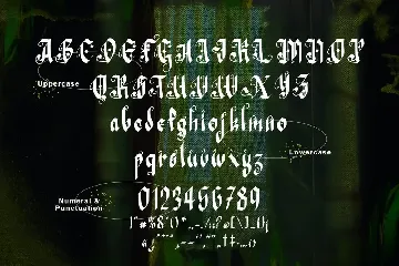 Fairy Tail - Special Fantasy Font