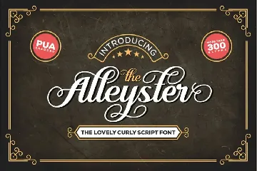 Alleyster font