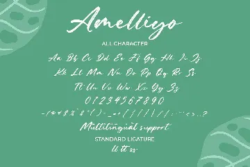 Amelliyo-Handwritten Font