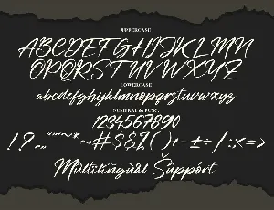 Beternite Limited Signature font