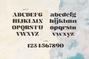 Magrit - Pretty bold display serif font