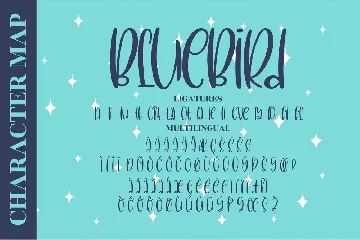 BlueBird Quirky font