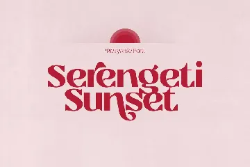 Prettywise - Modern Vintage Serif font