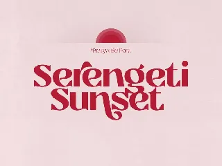 Prettywise - Modern Vintage Serif font