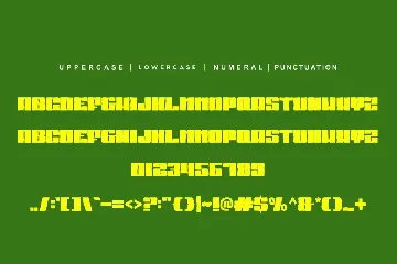 Sport Record Brush font