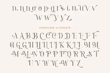 Pastel Orange font