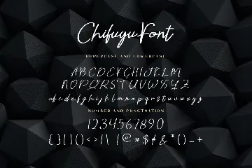 Chifuyu Signature Font