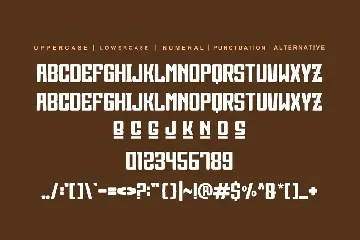 Rocky Ngobong font